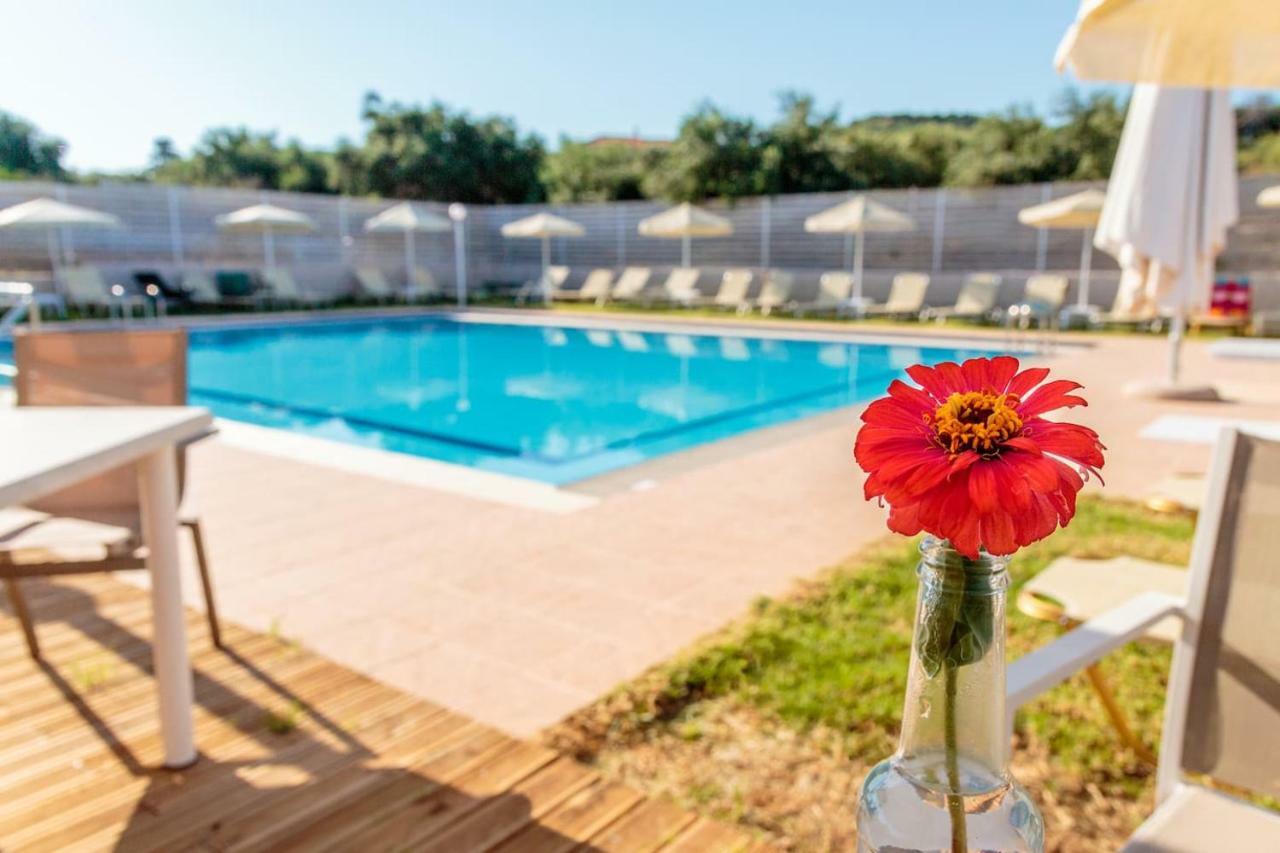 Charming And Comfy House Agia Marina Exterior foto